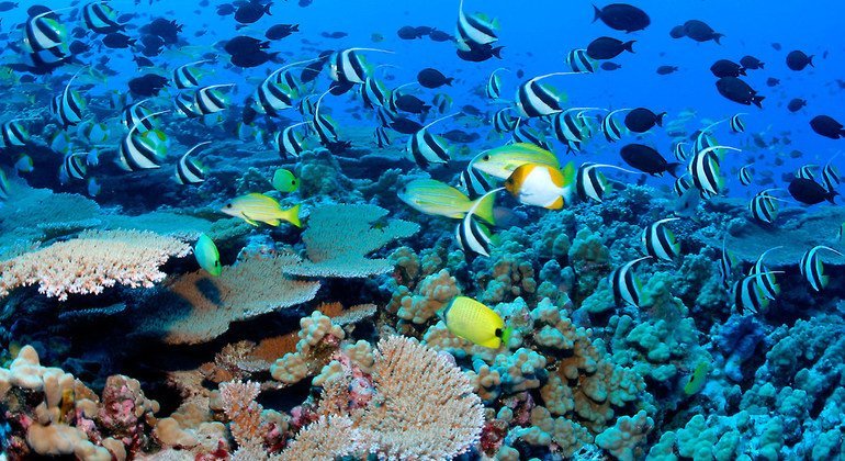 生物多样性国际日:以自然之道,养万物之生